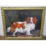 A study of a King Charles Spaniel, oil on board, framed
