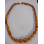 A vintage string of amber beads