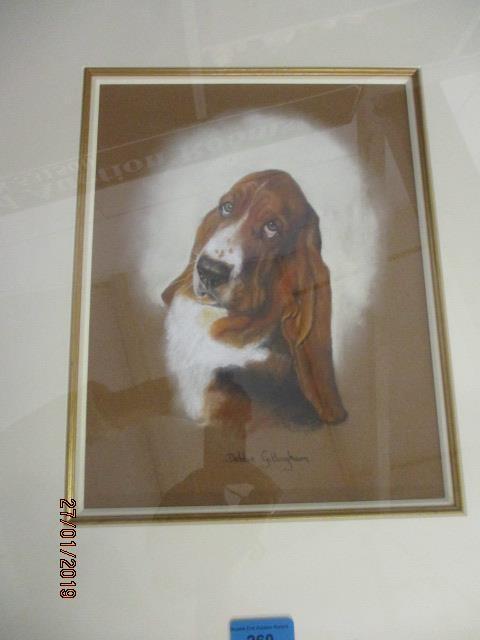 Debbie Gillingham - a study of a Bassett Hound, pastel, 11 3/4" x 9", framed and glazed