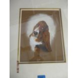 Debbie Gillingham - a study of a Bassett Hound, pastel, 11 3/4" x 9", framed and glazed
