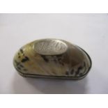 A 19th century shell and silver plated snuff box