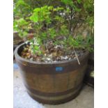 A teak and metal support large garden planter 15 1/2"h x 25"w