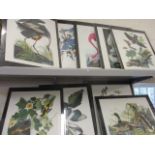 A quantity of coloured bird prints