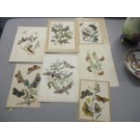 A selection of coloured plates of butterflies and moths