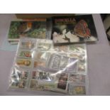 A collection of mixed cigarette cards in albums and loose
