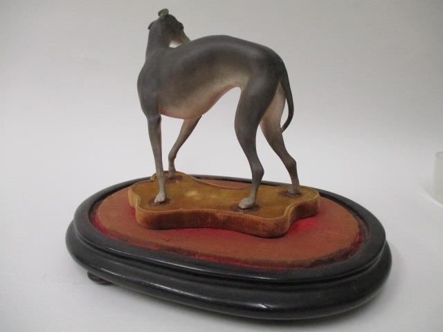 A 19th century continental porcelain model of a greyhound in grey and white, 4 1/2" h, on a shaped - Image 3 of 8