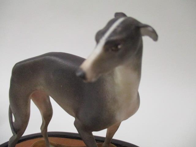 A 19th century continental porcelain model of a greyhound in grey and white, 4 1/2" h, on a shaped - Image 5 of 8