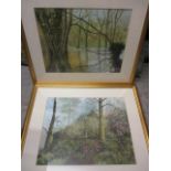 Two watercolours depicting woodlands scenes, monogrammed to the corners, 13 3/4" x 17 1/2", framed
