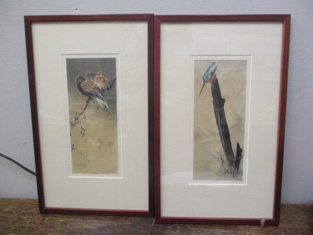 A pair of early 20th century studies, one of a kingfisher and the other of a pheasant, prints,
