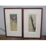 A pair of early 20th century studies, one of a kingfisher and the other of a pheasant, prints,