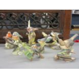 Seven RSPB Franklin porcelain and Coalport bird figures to include a robin and a chaffinch