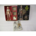 A Renwal The Visible Man, kit, boxed