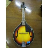 A Stagg mandolin