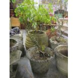 A stoneware garden planter having a basket design with a gadroon edge, 15 1/2" h x 20 1/4"w