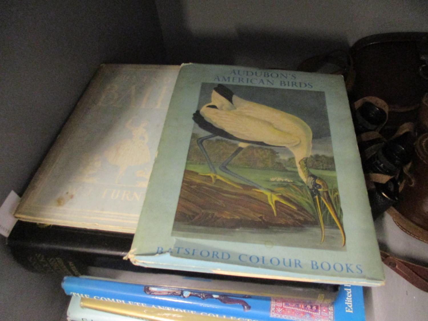 Books to include Audubon's American Birds Batsford colour books, Balletomane's Sketchbook, Britten's - Image 4 of 5