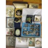 A mixed lot of costume jewellery to include silver jewellery earrings, a cameo and other items