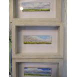 Rorie Naim - Three miniature frame and glazed oil paintings depicting country landscapes