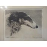Morgan Dennis - a signed limited edition etching depicting a dog, entitled Zagar of Athea,