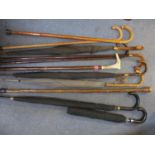 A quantity of walking sticks and vintage umbrellas