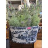 A reproduction blue and white Oriental planter with a faux lavender display