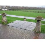 A pair of Staddle Stones, 3ft 3in