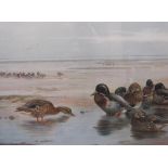 ARCHIBALD THORBURN (1860-1935)A set of three artist's proof colour collotypes depicting Wildfowl,