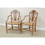 A pair of Sheraton style satinwood Elbow Chairs with floral painted shield backs, cane seats on