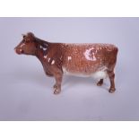 A Beswick Shorthorn Cow Champion Eaton Wild Eyes 91st, 8in, and a Guersey Calf