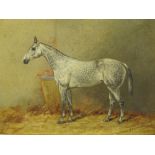 ‡HENRY FREDERICK LUCAS-LUCAS (1848-1943)'Bridesmaid', a dappled grey horse in a stablesigned and