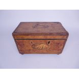 An 18th Century Tea Caddy with shell medallion inlay, diamond and dentil friezes and satinwood