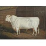 ATTRIBUTED TO BENJAMIN CAM NORTON (1835-1900)A White Shorthorn Bull in a Barn Interioroil on