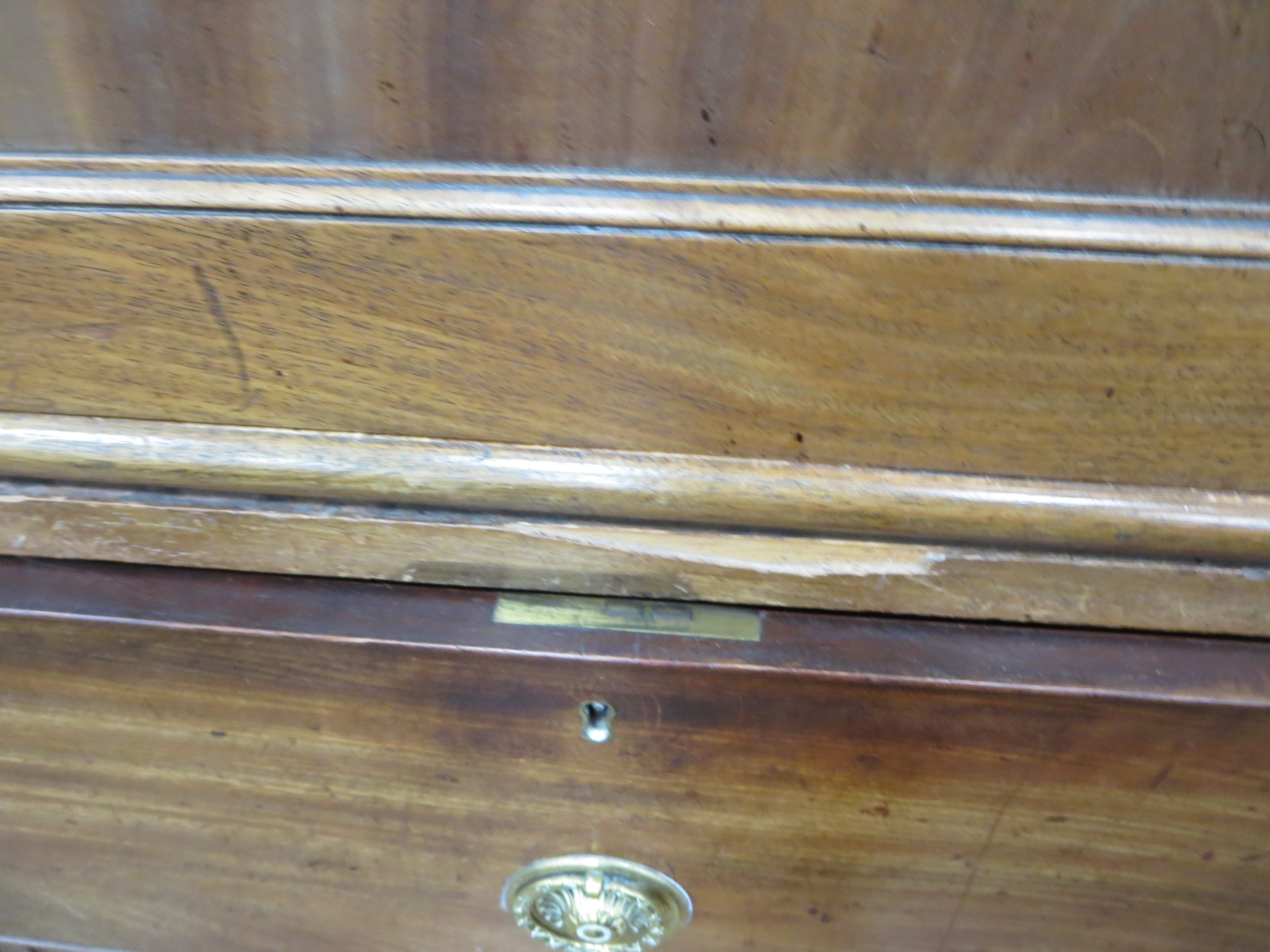 A late Georgian mahogany Linen Press with carved quarter roundels to the cornice above pair of solid - Image 3 of 3