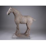 A Chinese Tang Dynasty style terracotta Horse, standing with right foreleg slightly forward,