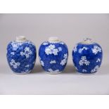 Three small Chinese blue and white Jars, Kangxi, each painted with prunus on cracked ice ground, all