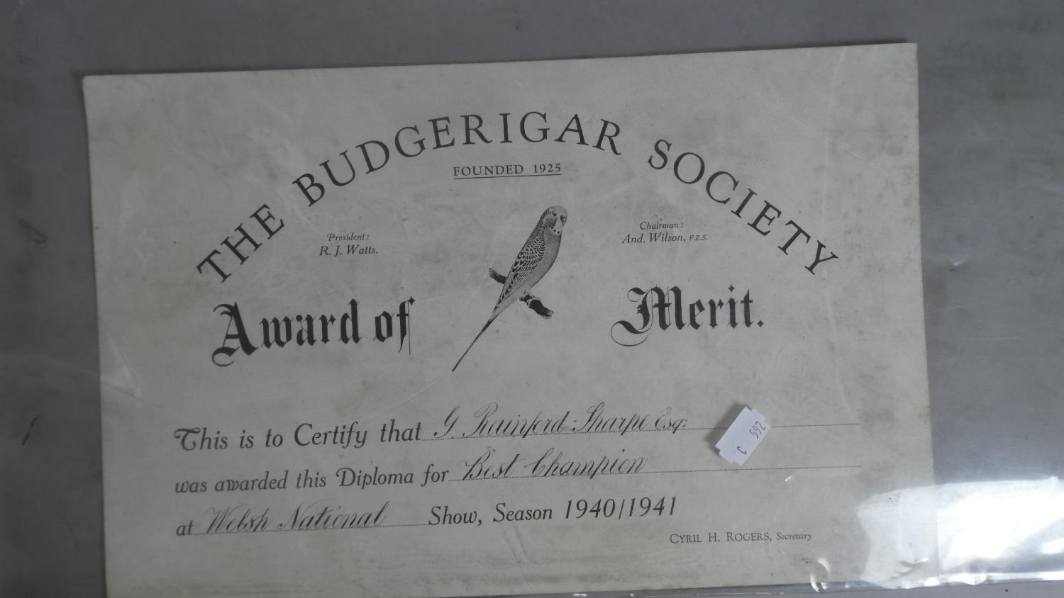 A Copy of Daily Express April 1900 and a 1940/41 Budgerigar Award of Merit - Image 2 of 4