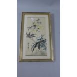 A Framed Chinese Painting Depicting Cricket on Flower, 28cm High