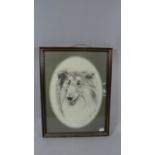 A Framed Pollyanna Pickering Print of a Collie Dog