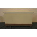 A Painted Blanket Box with Hinged Lid, 100cm Wide