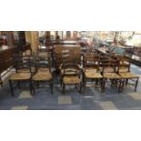 A Collection of Twelve 19th Century North Country Ladder Back Chairs with Rush Seats to Include