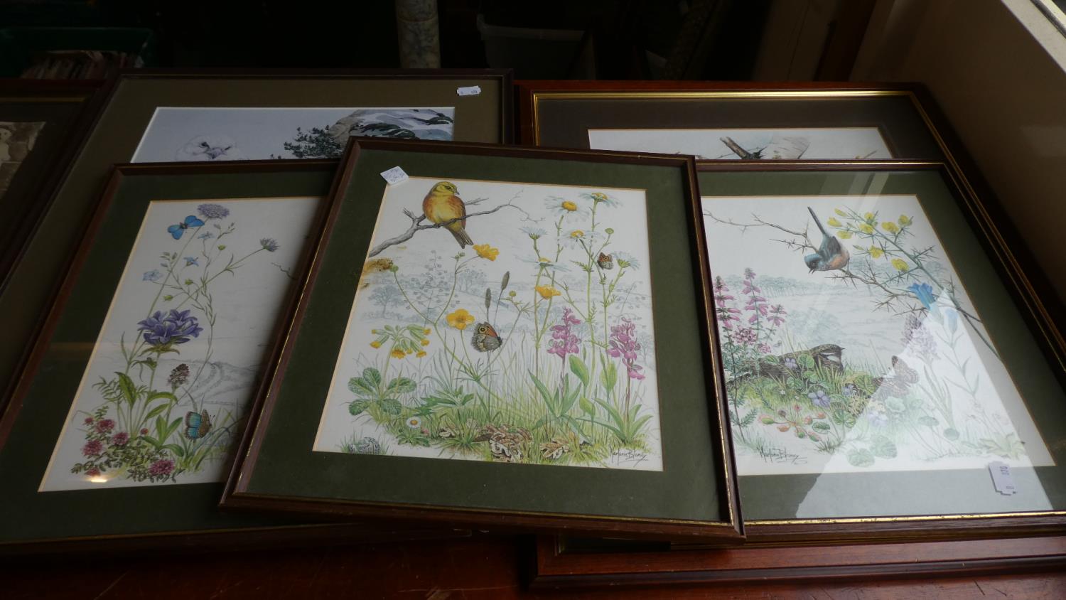 A Collection of Five Various Prints of Birds