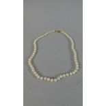 A Pearl Necklace with 9ct Gold Clasp