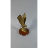 A Brass Study of an Eagle about to Strike, Set on Circular Wooden Plinth, 18cm High