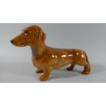 A Beswick Standing Dachshund, Model Number 361