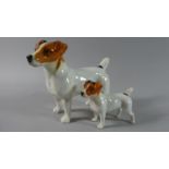 Two Beswick Jack Russell Terriers, One Large and One Small