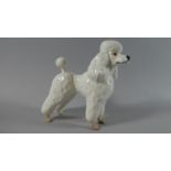 A Beswick Poodle, Ebonit av Barbett no. 1294