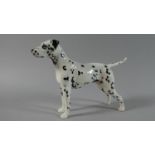 A Beswick Dalmatian, Ruler of Oughborough