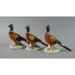 A Collection of Three Small Beswick Pheasants Model No. 767A (with Curved Tails)