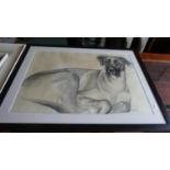 A Framed Drawing of a Great Dane, 68cm Wide