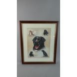 A Framed Labrador Print, 55cm High