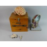 A Pine Cased Mid 20th Century Sectional and Interlocking Anatomical Teaching Aid, 'The Brain'